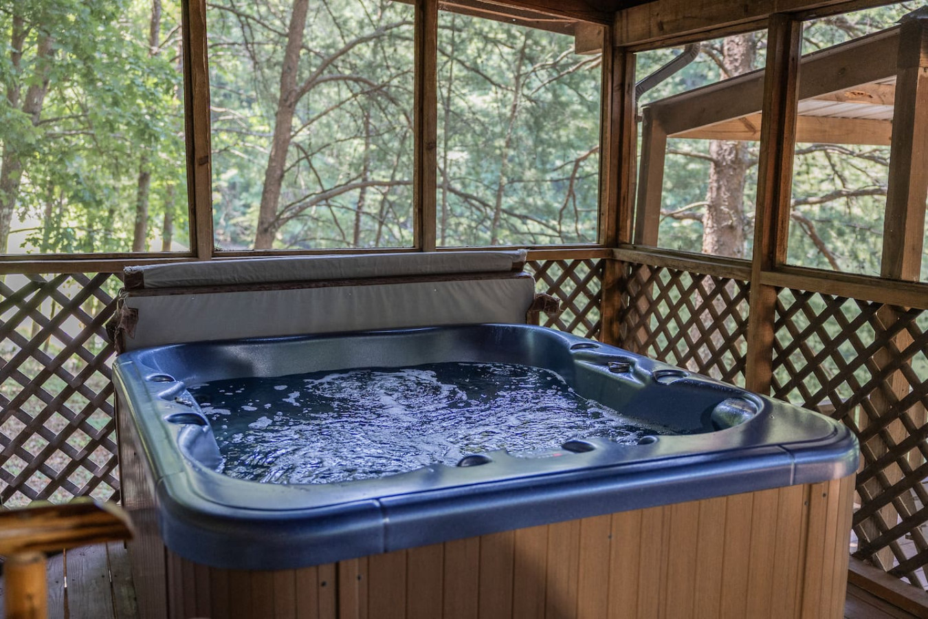 Cabin on the lake! Hot tub, fishing, pool access! - Image 5