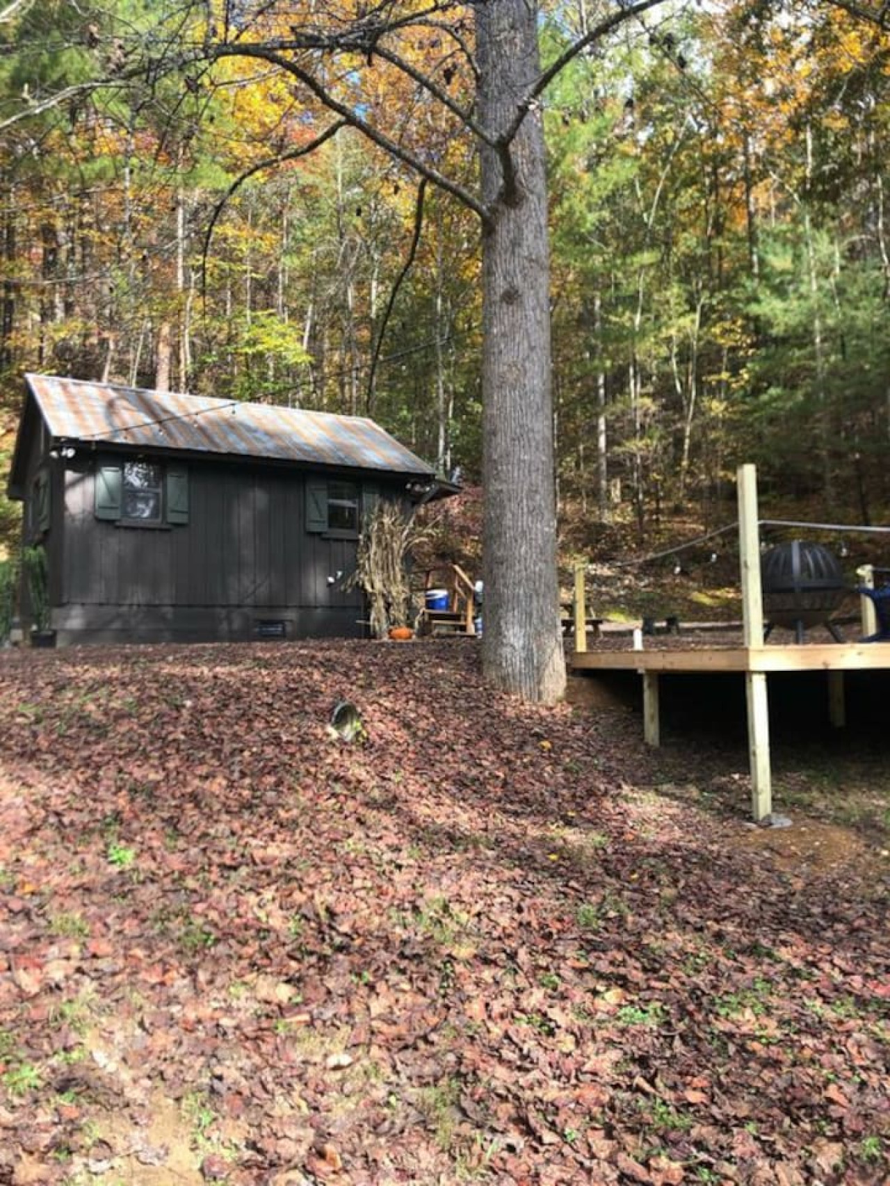 Luxury Tiny Cabin “Sly Fox"