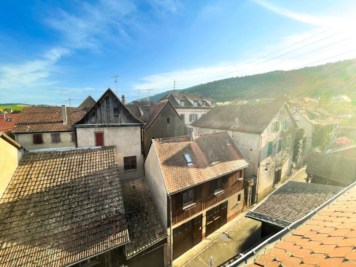 L’Ecureuil et La Chouette photo 4