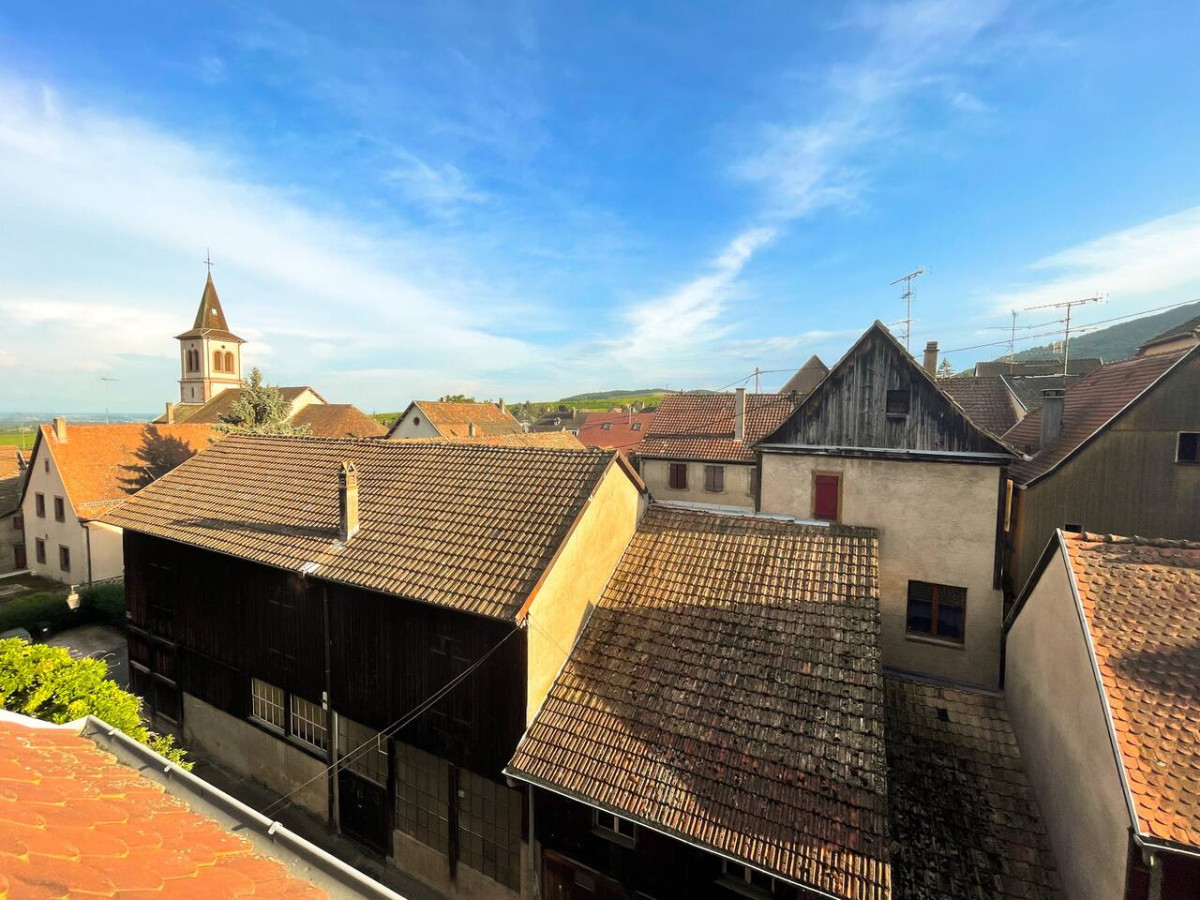 L’Ecureuil et La Chouette photo 5